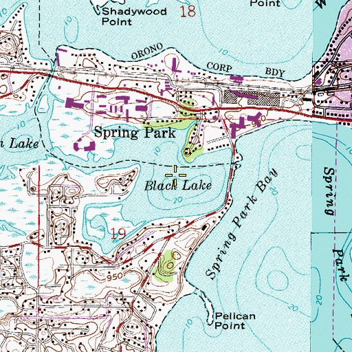 Topographic Map of Black Lake, MN