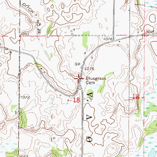 Topographic Map of Bluegrass Cemetery, MN