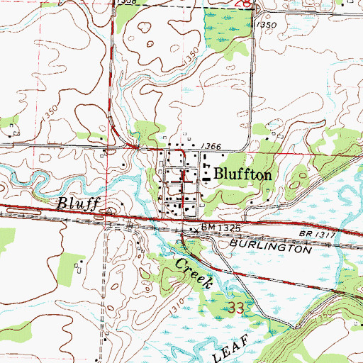 Topographic Map of Bluffton, MN
