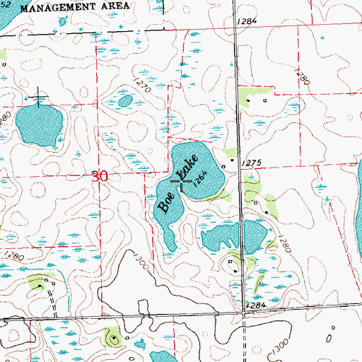 Topographic Map of Boe Lake, MN