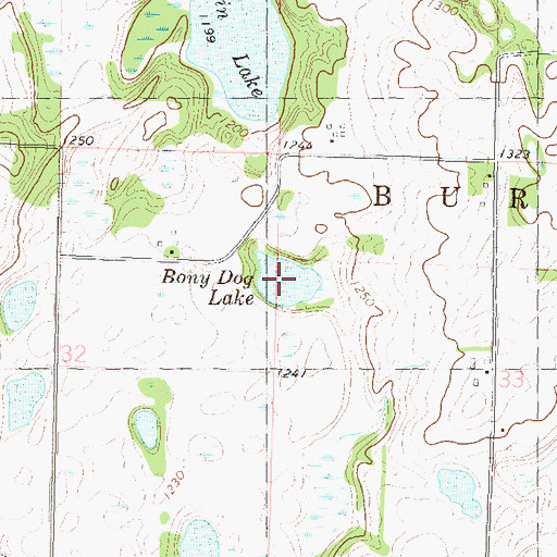 Topographic Map of Bony Dog Lake, MN