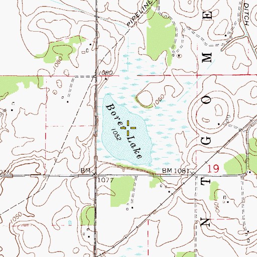 Topographic Map of Borer Lake, MN