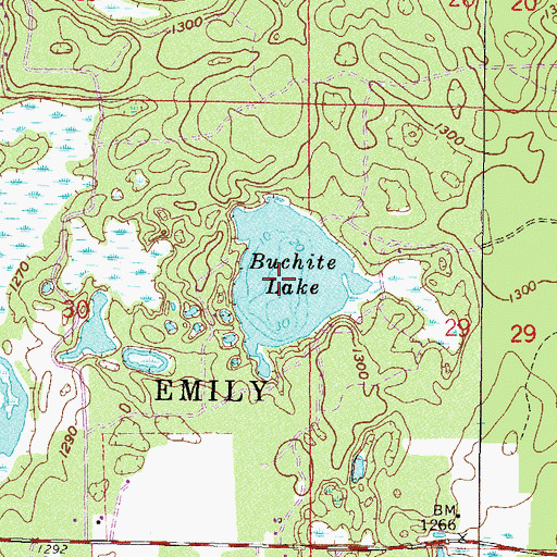 Topographic Map of Buchite Lake, MN