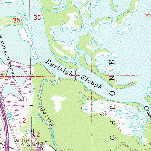 Topographic Map of Burleigh Slough, MN