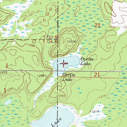 Topographic Map of Cartie Lake, MN