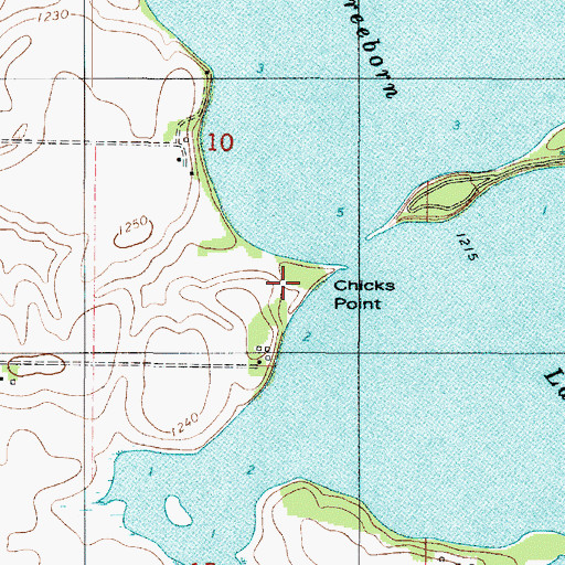 Topographic Map of Chicks Point, MN