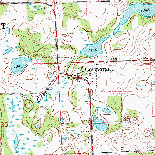 Topographic Map of Cormorant, MN