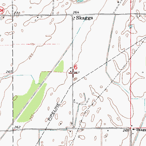 Topographic Map of Skaggs School (historical), AR