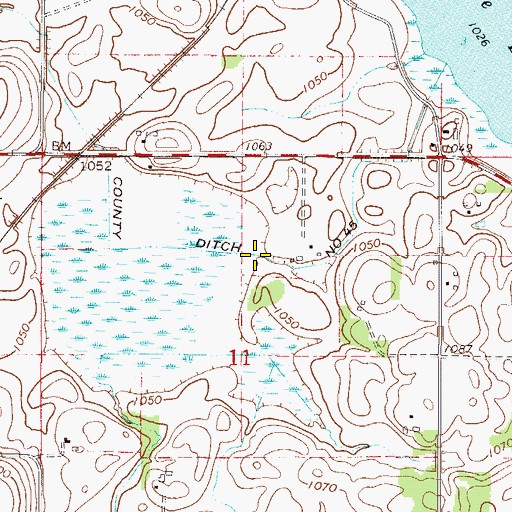 Topographic Map of County Ditch Number Fortyfive, MN