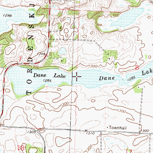 Topographic Map of Dane Lake, MN