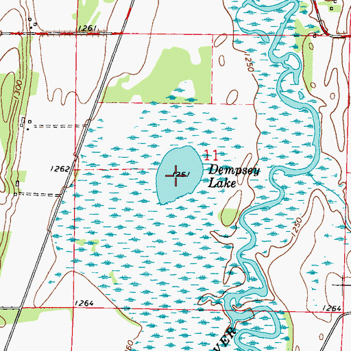 Topographic Map of Dempsey Lake, MN