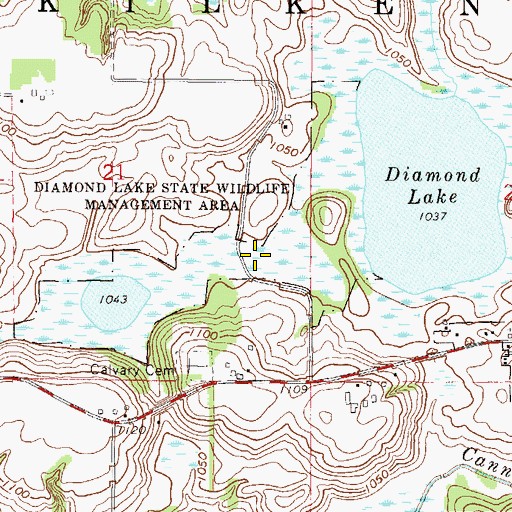 Topographic Map of Diamond Lake State Wildlife Management Ar, MN