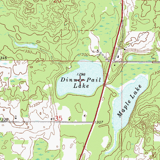 Topographic Map of Dinner Pail Lake, MN