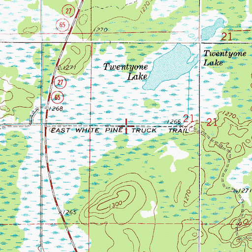 Topographic Map of East White Pine Truck Trail, MN