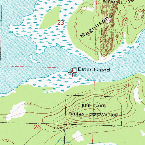 Topographic Map of Ester Island, MN