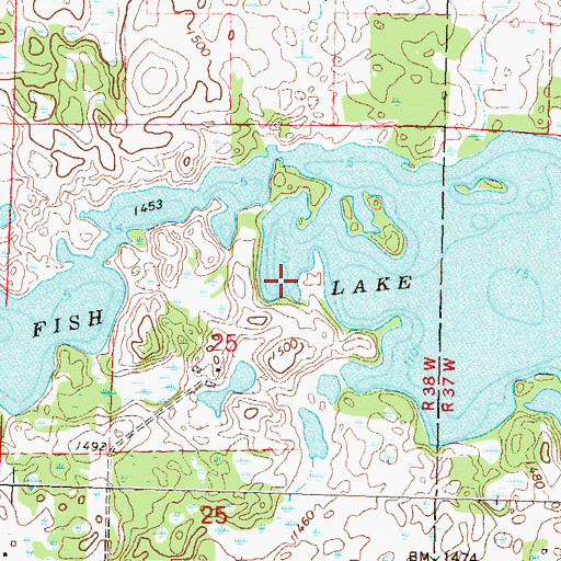 Topographic Map of Fish Lake, MN
