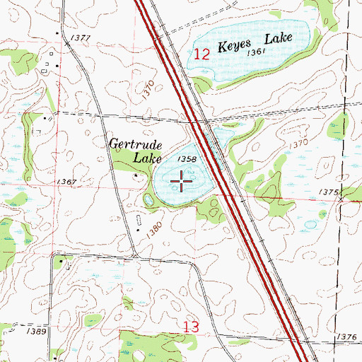 Topographic Map of Gertrude Lake, MN