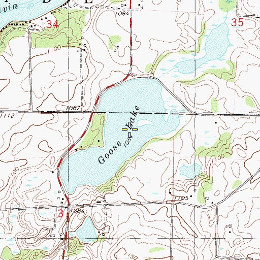 Topographic Map of Goose Lake, MN