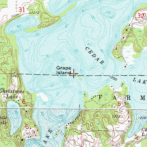 Topographic Map of Grape Island, MN