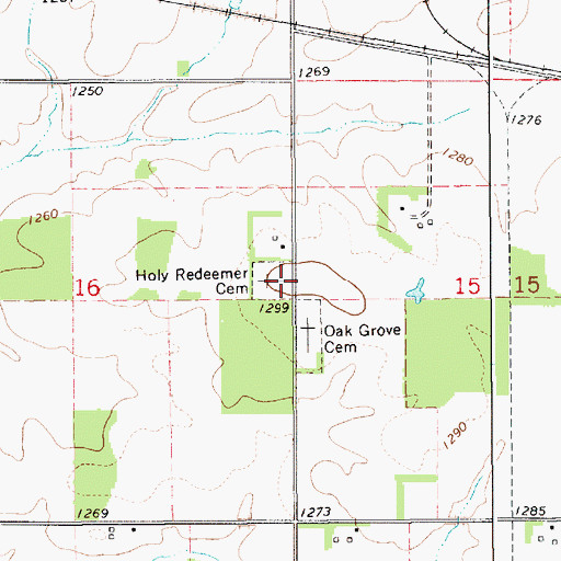 Topographic Map of Holy Redeemer Cemetery, MN