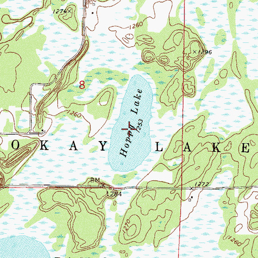 Topographic Map of Hoppy Lake, MN