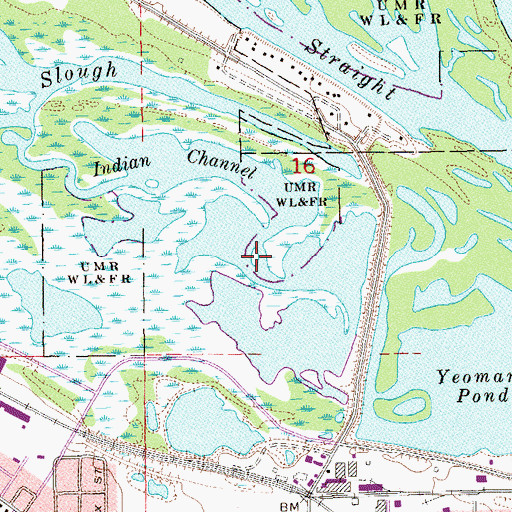 Topographic Map of Indian Channel, MN