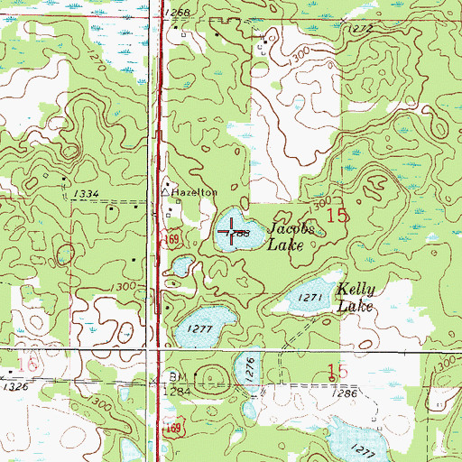Topographic Map of Jacobs Lake, MN