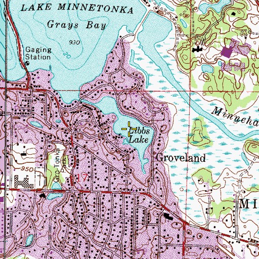 Topographic Map of Libbs Lake, MN