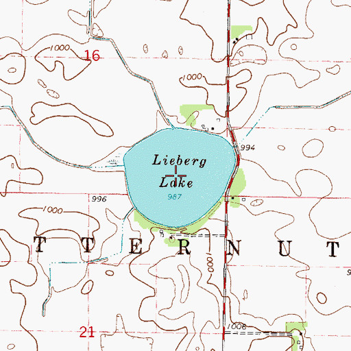 Topographic Map of Lieberg Lake, MN