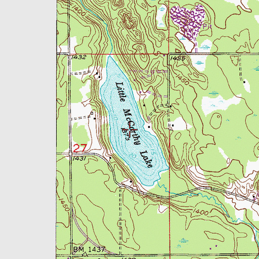 Topographic Map of Little McCarthy Lake, MN
