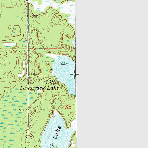 Topographic Map of Little Tamarack Lake, MN