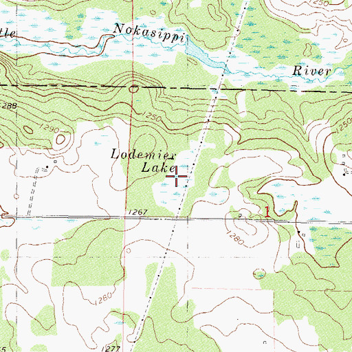 Topographic Map of Lodemier Lake, MN