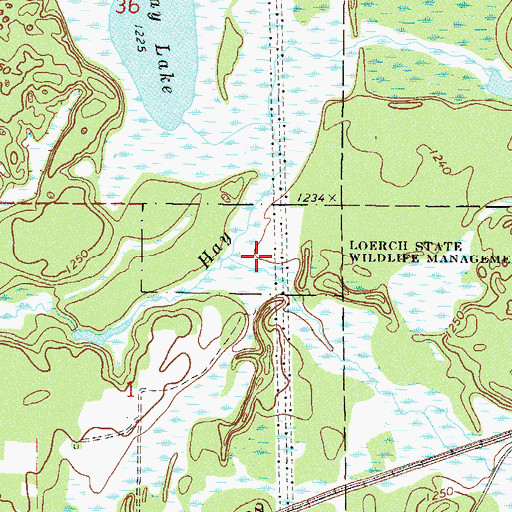 Topographic Map of Loerch State Wildlife Management Area, MN
