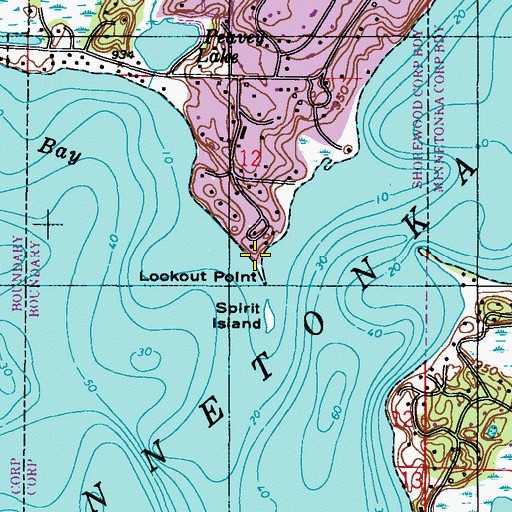 Topographic Map of Lookout Point, MN