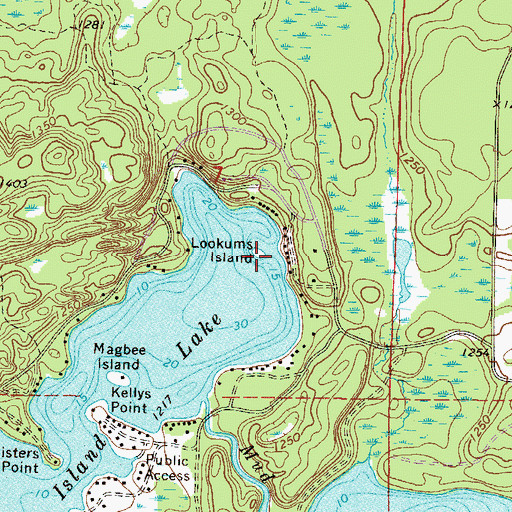 Topographic Map of Lookums Island, MN