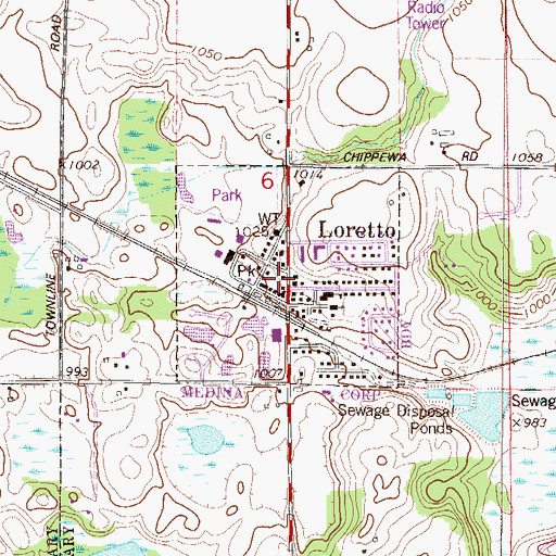 Topographic Map of Loretto, MN