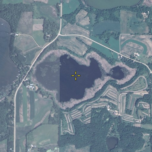 Aerial/Satellite Image of Marsh Lake, MN