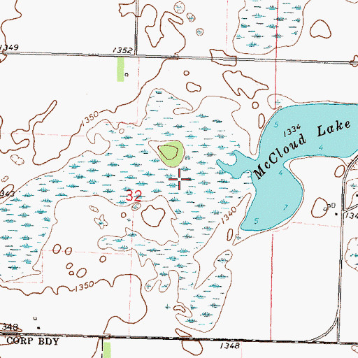Topographic Map of McCloud Lake, MN