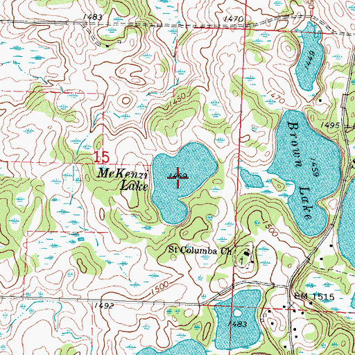 Topographic Map of McKenzi Lake, MN