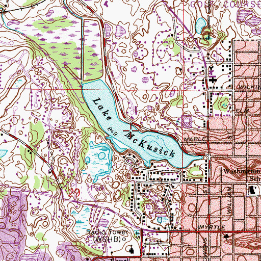 Topographic Map of Lake McKusick, MN