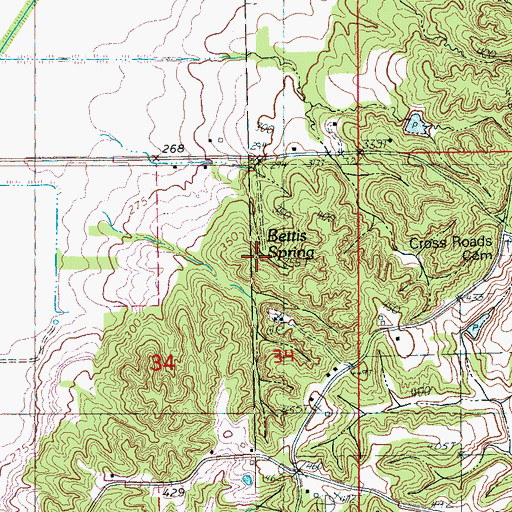 Topographic Map of Bettis Spring, AR
