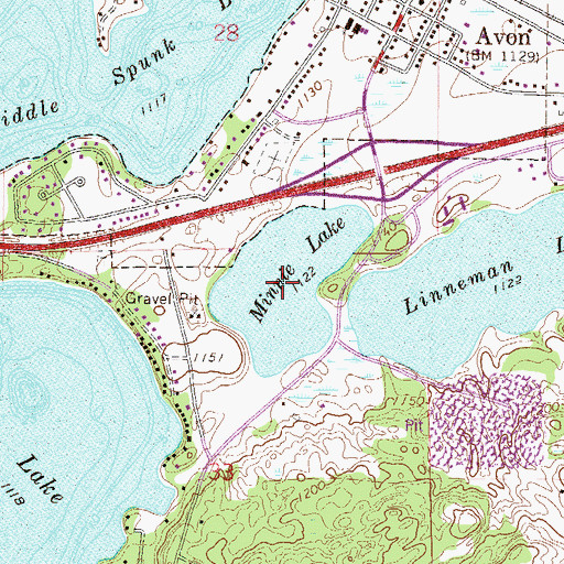 Topographic Map of Minnie Lake, MN