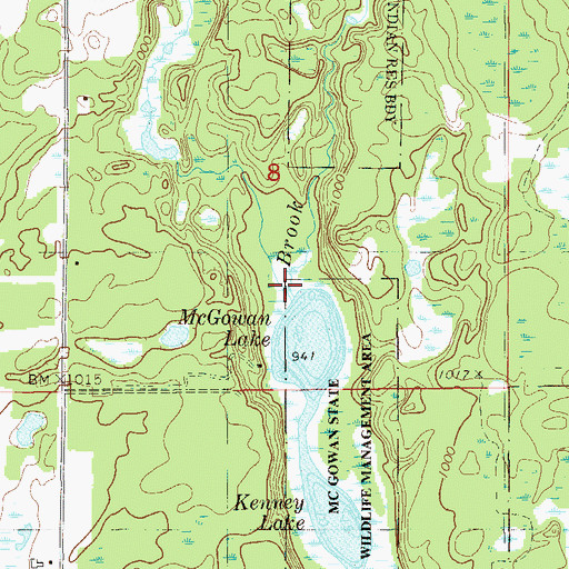 Topographic Map of Moose Creek, MN
