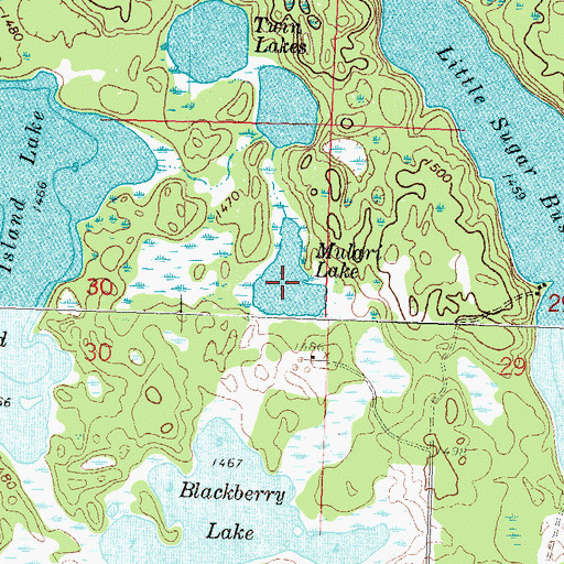 Topographic Map of Mulgri Lake, MN