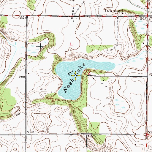 Topographic Map of Nash Lake, MN