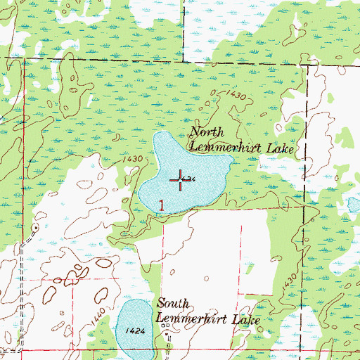 Topographic Map of North Lemmerhirt Lake, MN