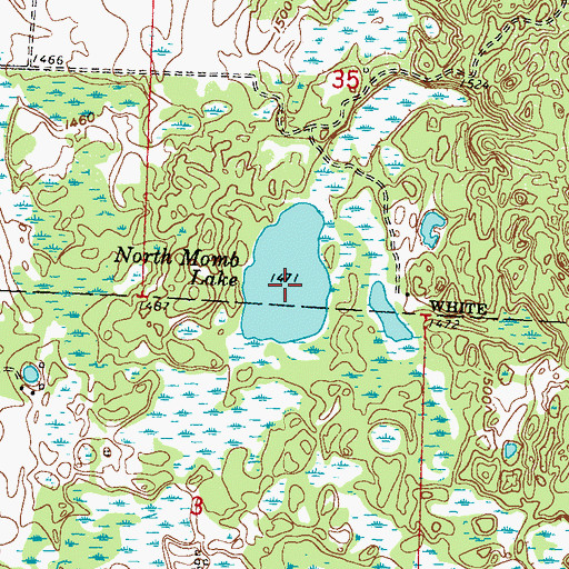 Topographic Map of North Momb Lake, MN