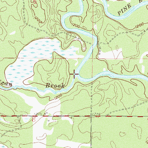 Topographic Map of Pelican Brook, MN