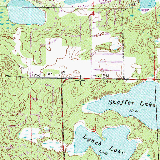 Topographic Map of Breezy Point, MN