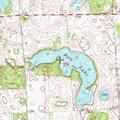 Topographic Map of Pete Lake, MN